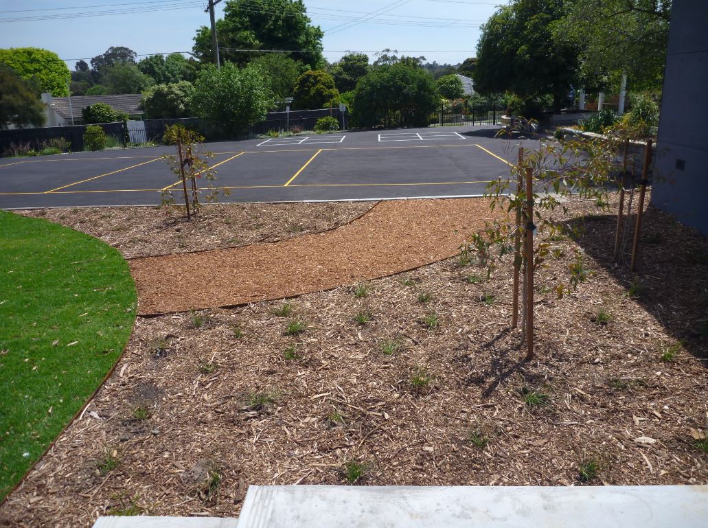 BotanicalTraditions_Landscape Design_Education